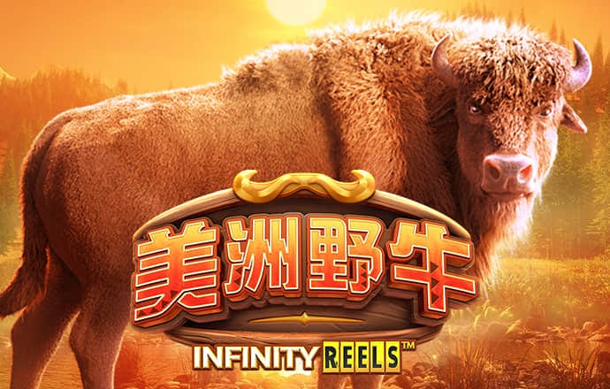 im体育登录